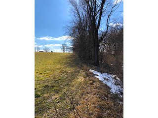 Property photo 6 - REAL ESTATE AUCTION - 30.5+/- ACRES IN 3 TRACTS IN KOSCIUSKO COUNTY, INDIANA